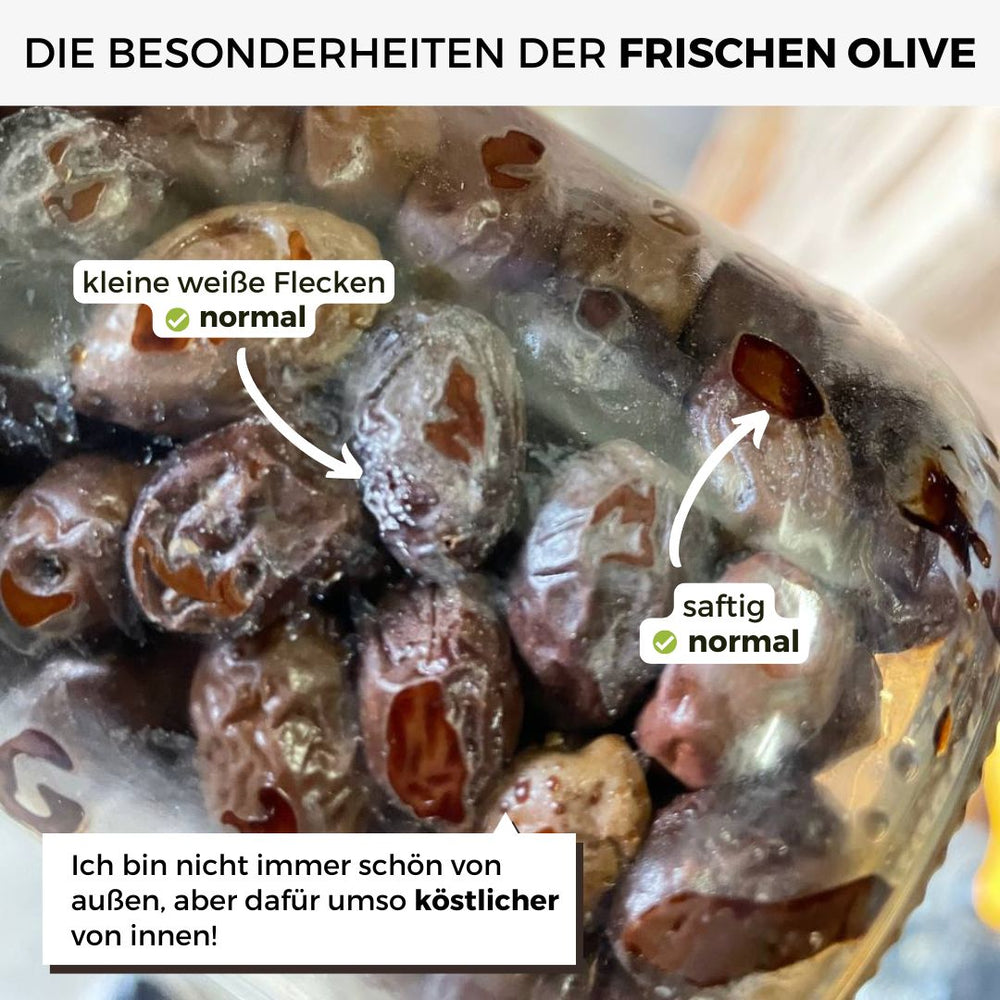 Oliven Terrano frisch