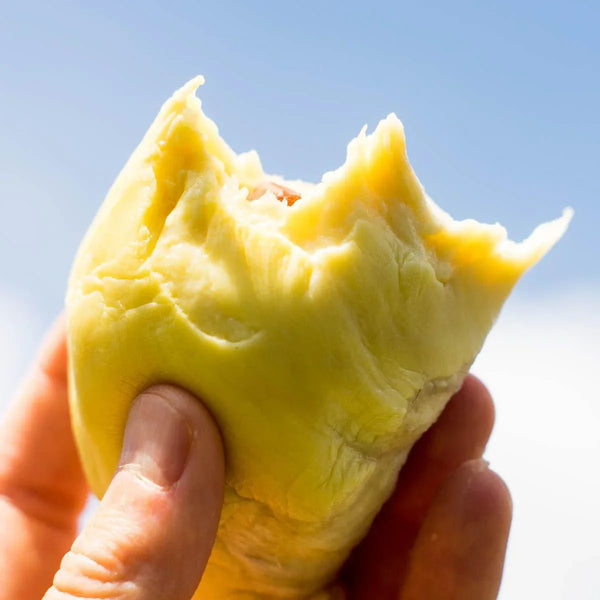 Durian Mon Thong geschält
