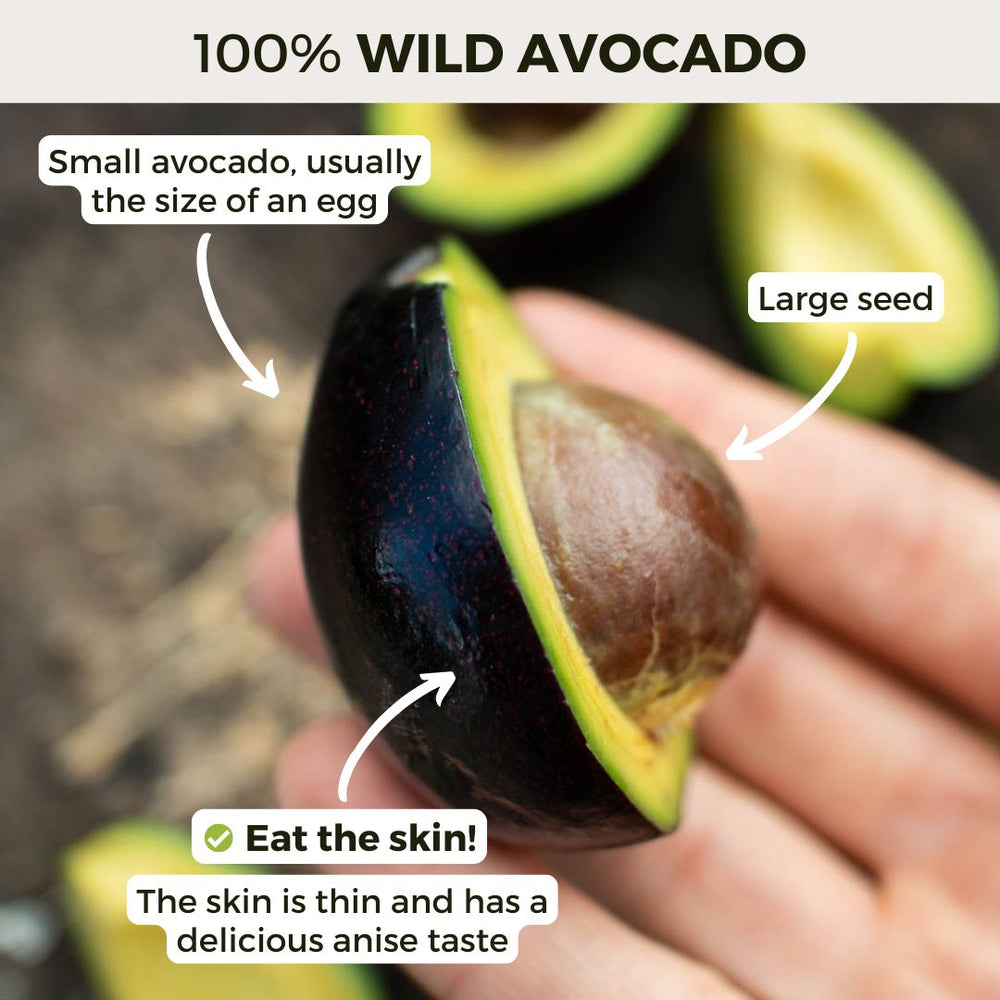 Avocado Wild from Ricardo