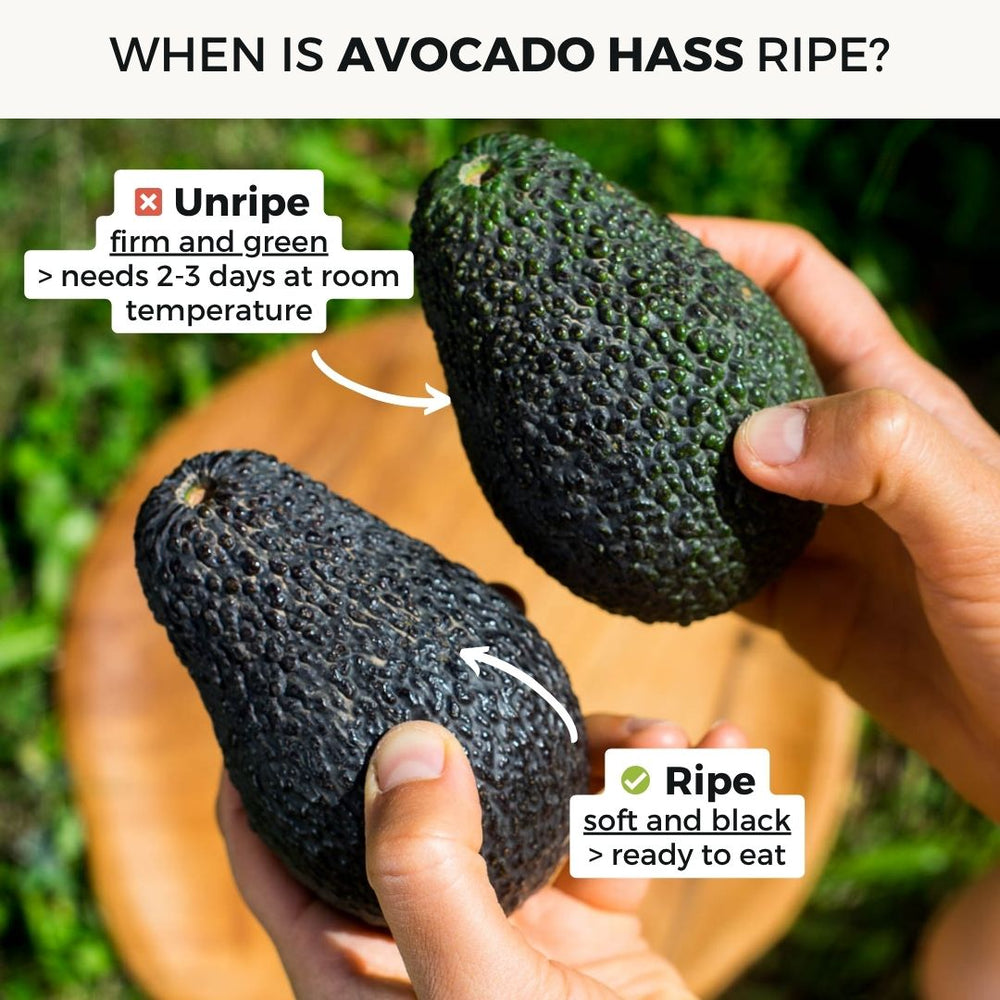 Avocado Lamb Hass