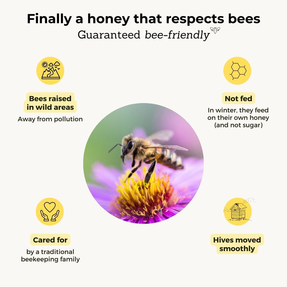 Orange Comb Honey