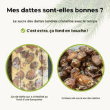 Datte Barhi fraîche et juteuse