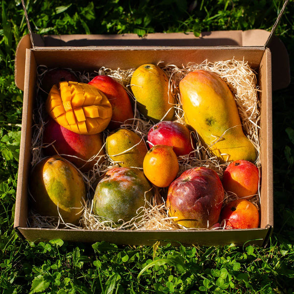 Mango Box Mix