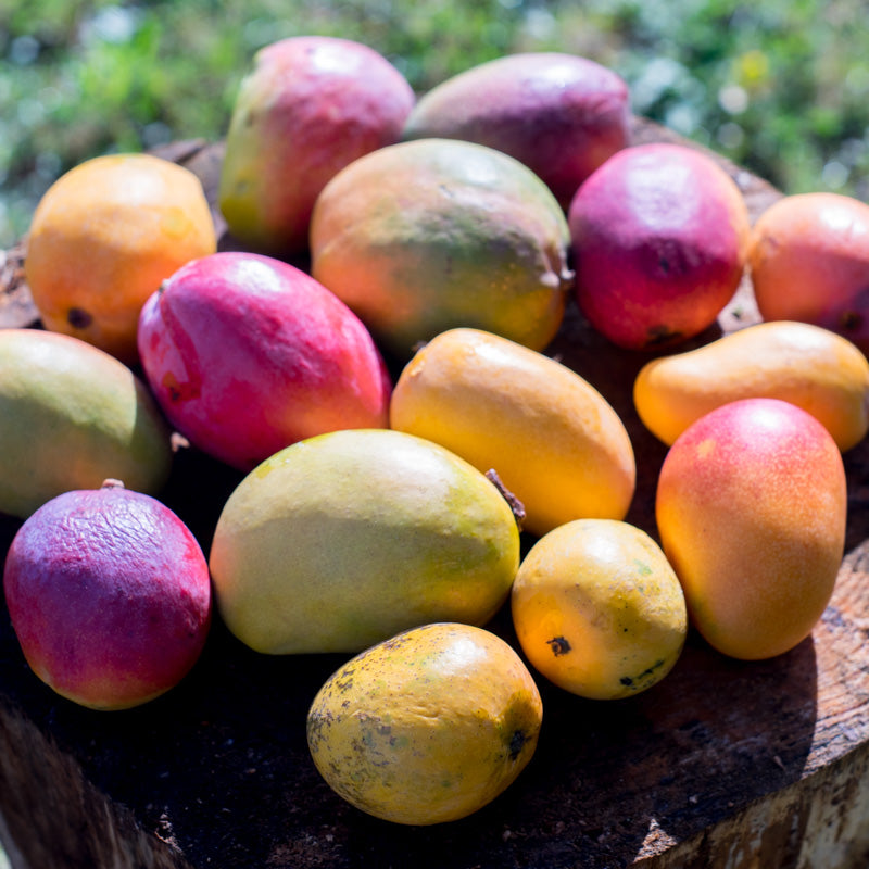 Mango (Verschiedene Sorten)