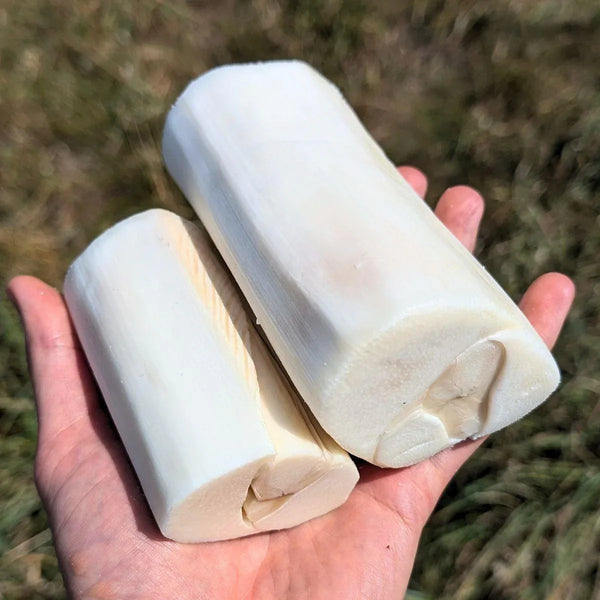 Palmherz