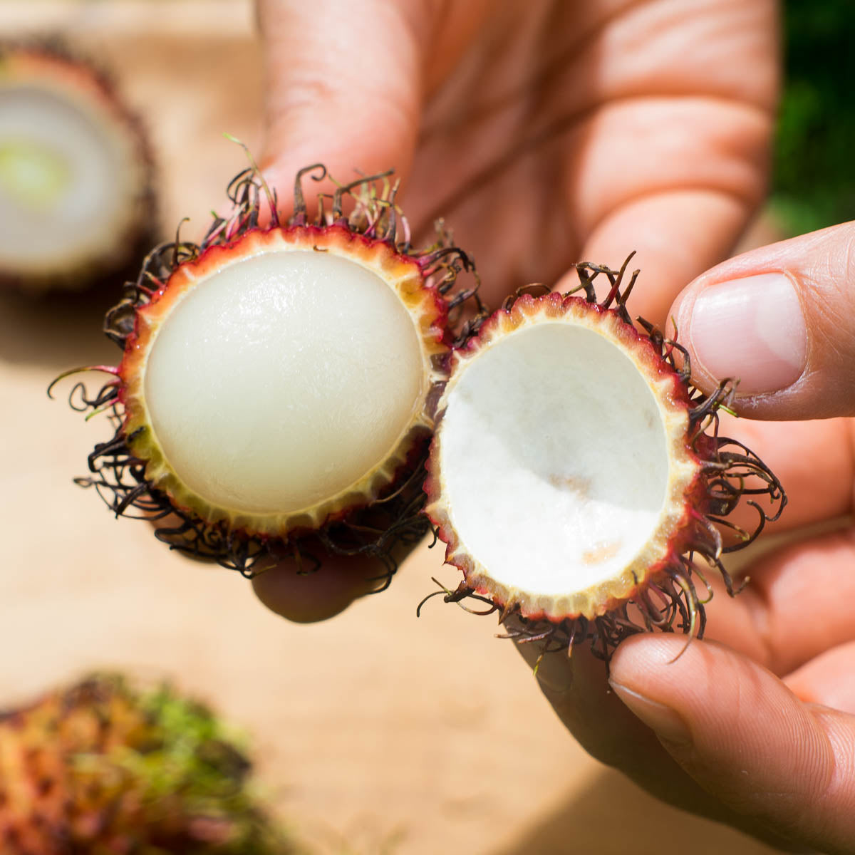Rambutan