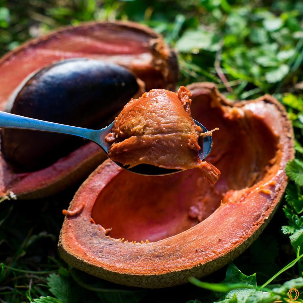 Sapote Mamey