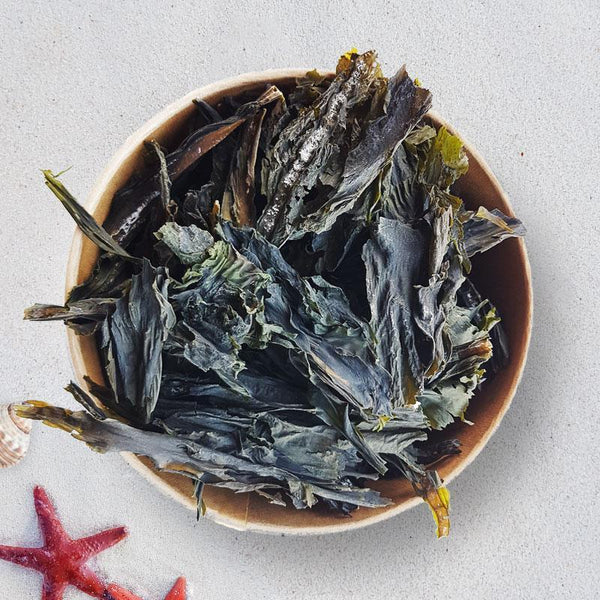 Algen Wakame getrocknet
