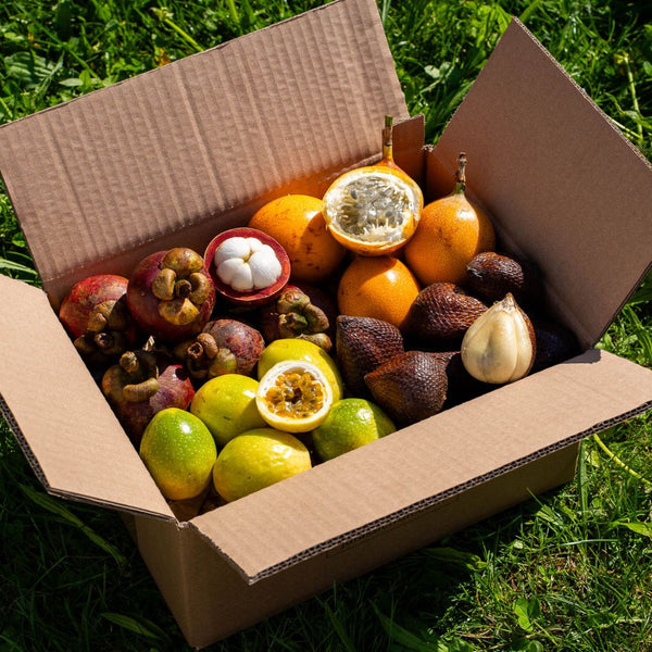 Box 4 kleine exquisite exotische Früchte
