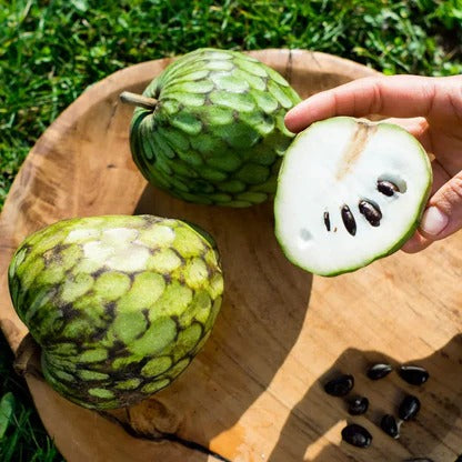 Cherimoya